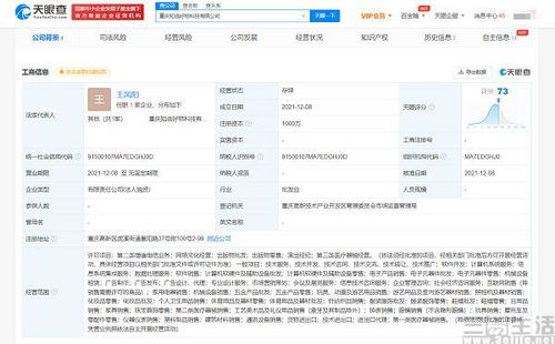 電商新戰局 行業第四極爭奪戰中的文娛跨界突圍